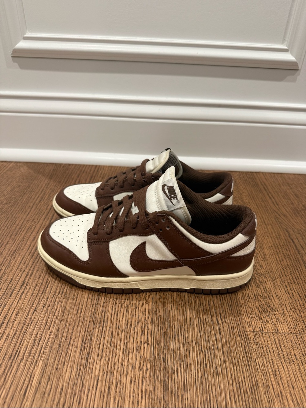 Nike Women’s Brown Dunks